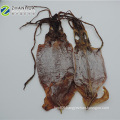 Dried squid 80% dryness 18kg